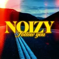 Обложка: Noizy - Follow You