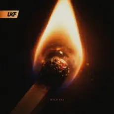 Обложка: Blooom & JYXE – Wild Eye