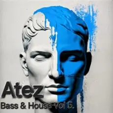 Обложка: Atez - Bass House Vol5.