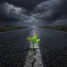 Обложка: Matvik - Рухатись далі