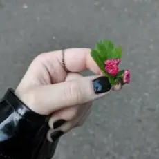 Обложка: Эйприл - В огоньки