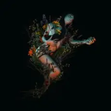 Обложка: Roniit - Epiphyte