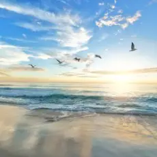 Обложка: unknown - Шум моря, релакс