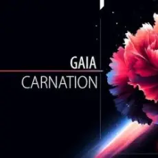 Обложка: Gaia - Carnation