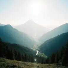 Обложка: BANDURA BAND - Ти не м’ята