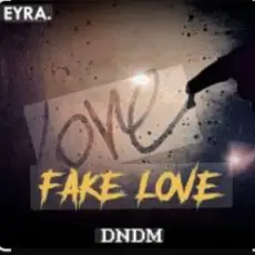 Обложка: DNDM - Fake Love
