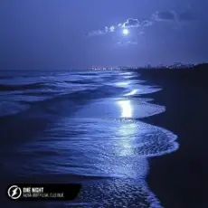 Обложка: Alosa, Booty Leak, Elle Blue - One Night