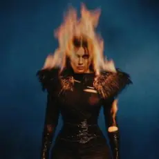 Обложка: BEARWOLF – Феникс