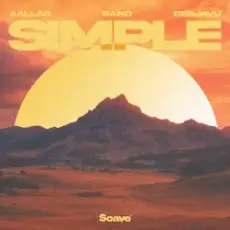 Обложка: AALLAR & Raiko & DeeJaVu - Simple