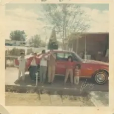 Обложка: Flores - Desaije