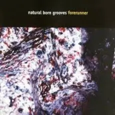 Обложка: Natural Born Grooves - Forerunner (Future Breeze Mix)
