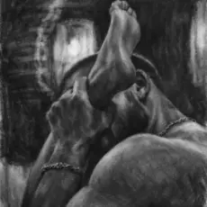 Обложка: Miha Danilchuk – Тра Ра Рам