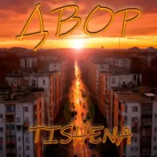 Обложка: TISHENA - Двор