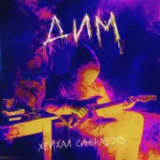 Обложка: Хейхал & Синькаboys - Дим (Rock version)
