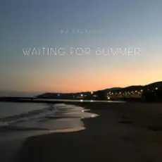 Обложка: DJ Calypso - Waiting for Summer 2026