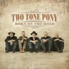 Обложка: Two Tone Pony - Curtains