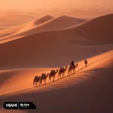 Обложка: DEMER - My Pace