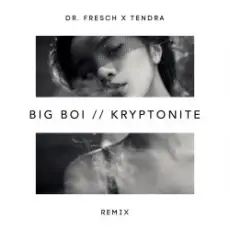 Обложка: Big Boi - Kryptonite (Dr. Fresch x Tendra Remix)