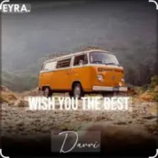 Обложка: Davvi - Wish You The Best