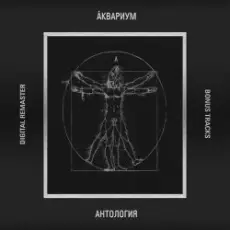 Обложка: Аквариум - Движение в сторону весны