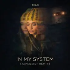 Обложка: INDI – In My System