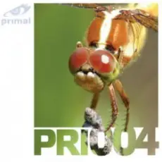 Обложка: R-Tem - Voiceless (Z05 Mix)