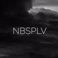 Обложка: NBSPLV - Stolen Kisses