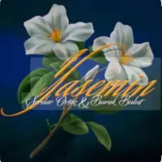 Обложка: Burak Bulut & Serdar Ortaç - Yasemin