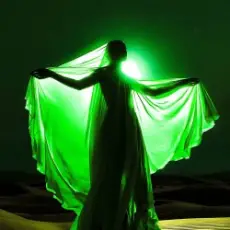 Обложка: VIRANA & SIKORO - HOLD ME