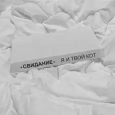 Обложка: Свидание - Я и твой кот