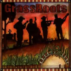 Обложка: The Grassmasters - Cold Rain And Snow