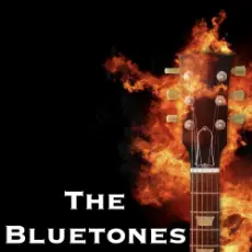 Обложка: The Bluetones - String Along