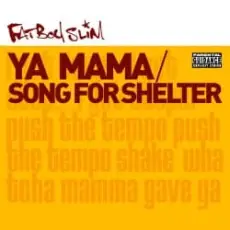 Обложка: Fatboy Slim - Song for Shelter