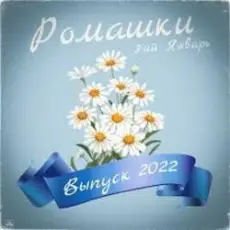 Обложка: 3-ий Январь – Ромашки