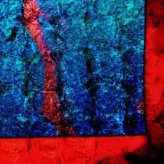 Обложка: Honeyfrequency - VAYA HEY