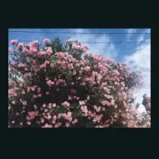 Обложка: Ceres - Okay