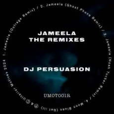 Обложка: DJ Persuasion - Jameela (Noah Tucker Remix)