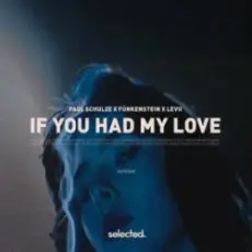 Обложка: Paul Schulze & FÜNKENSTEIN & LEVII - If You Had My Love