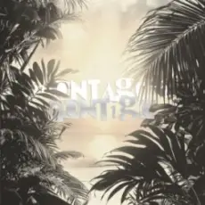 Обложка: Repsaj - MONTAGEM CONTIGO (Speed Up)