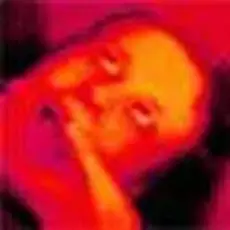 Обложка: Плед - Вторник