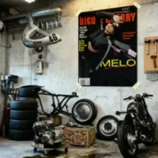 Обложка: Nicole Cherry - Melo