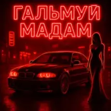 Обложка: Fartovyy – Гальмуй мадам
