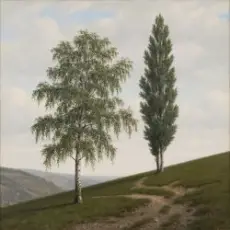 Обложка: Сергей Видов - Берёза и тополь