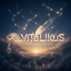 Обложка: ViTaLiKuS - Что делаешь, мой друг...
