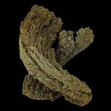 Обложка: Max Cooper - Waves