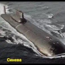 Обложка: unknown - Синева