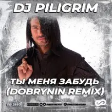 Обложка: Dj Piligrim - Ты меня забудь