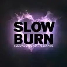 Обложка: NEIMXX - Slow Burn