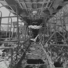 Обложка: Son, Fire! - Град обреченный