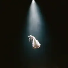 Обложка: Ariana Grande - Hampstead